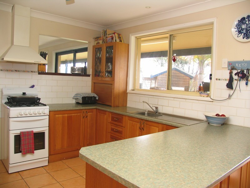 Cedar Party NSW 2429