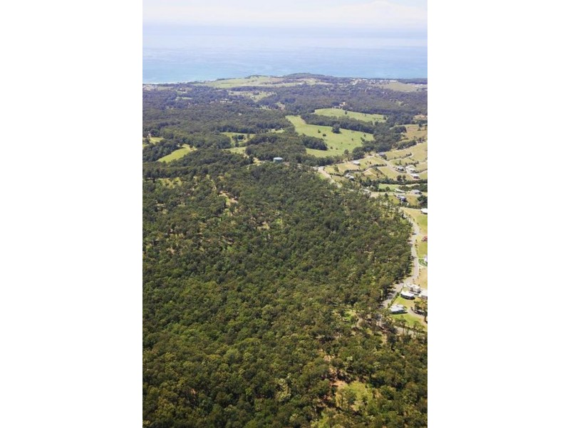 Proposed lot 1 of lot 131 Tallwood Drive, Hallidays Point NSW 2430