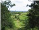 296 Koolah Creek Road, Langley Vale NSW 2426