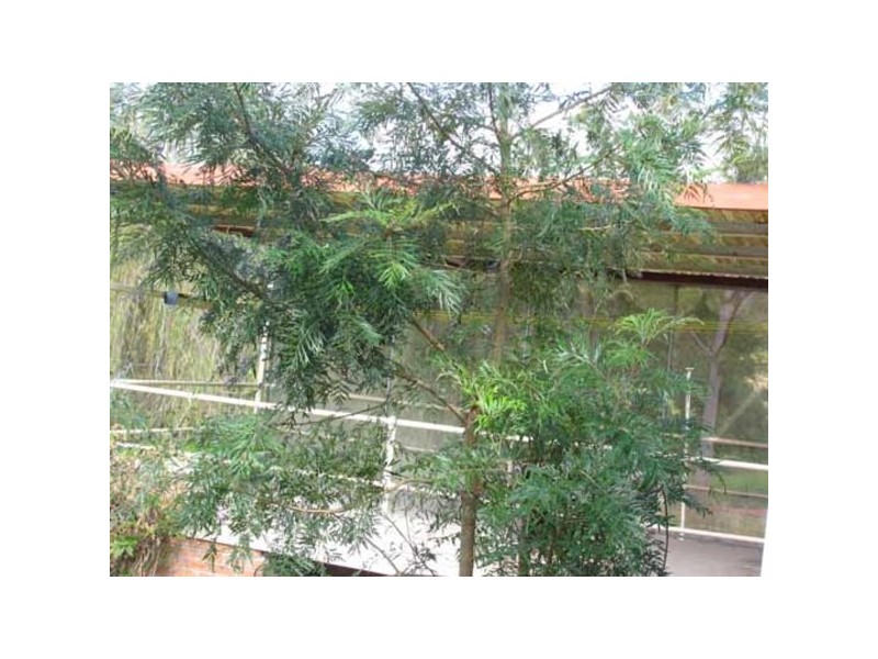 3 Iluka Circuit, Taree NSW 2430