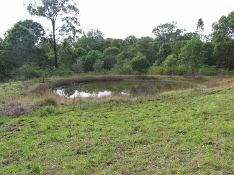 Wingham NSW 2429