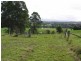 Wingham NSW 2429