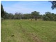 Wingham NSW 2429