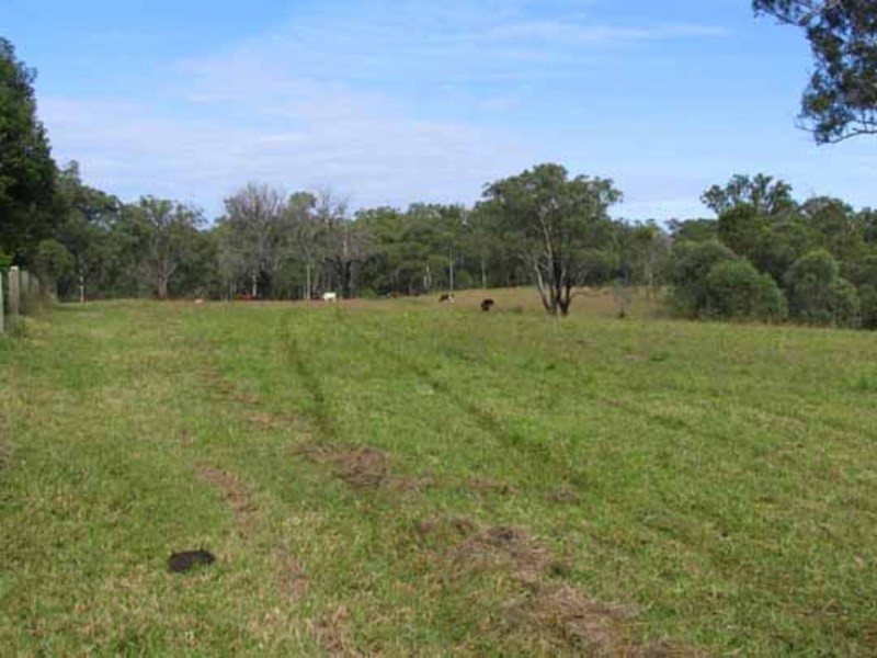 Wingham NSW 2429