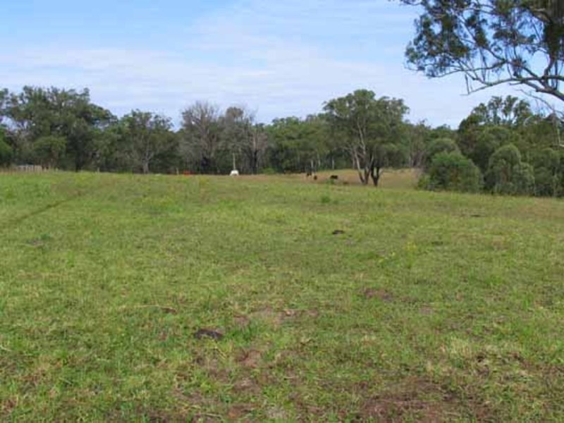 Wingham NSW 2429