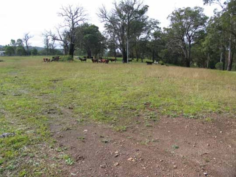 Wingham NSW 2429