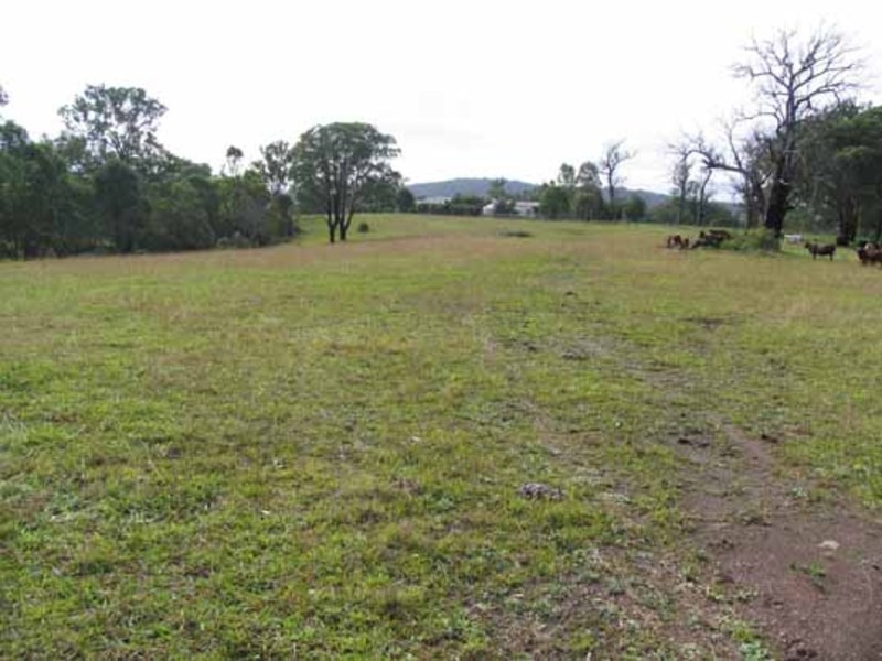 Wingham NSW 2429