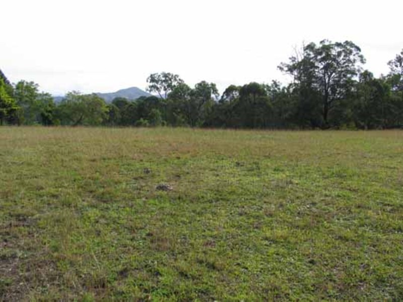 Wingham NSW 2429