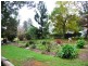 Wingham NSW 2429