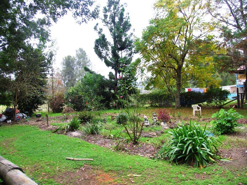Wingham NSW 2429