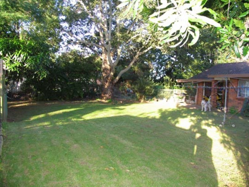 Wingham NSW 2429