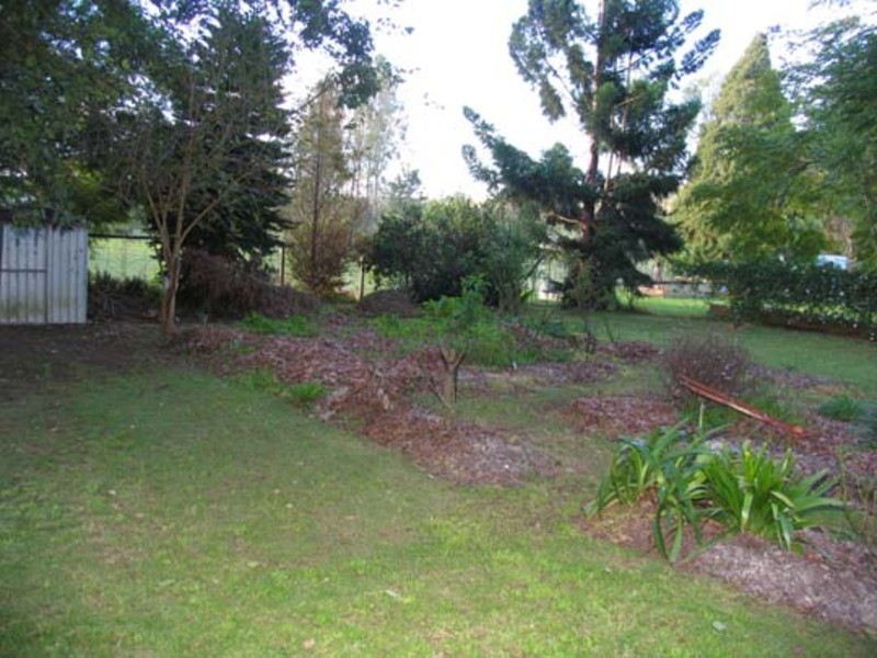Wingham NSW 2429
