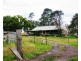 Wingham NSW 2429