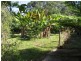 Moorland NSW 2443