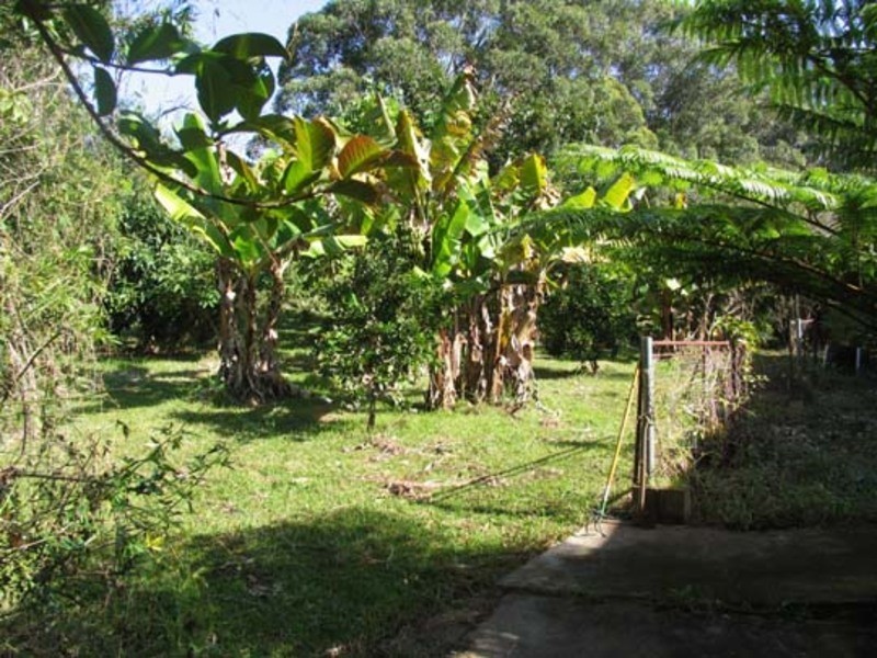 Moorland NSW 2443