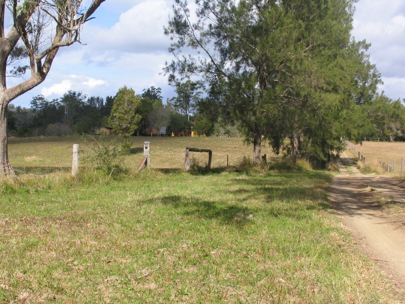 Wingham NSW 2429