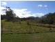 Wingham NSW 2429
