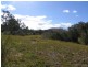 Wingham NSW 2429