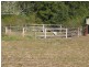 Wingham NSW 2429