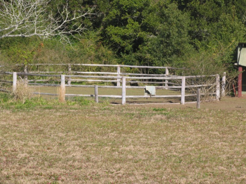 Wingham NSW 2429