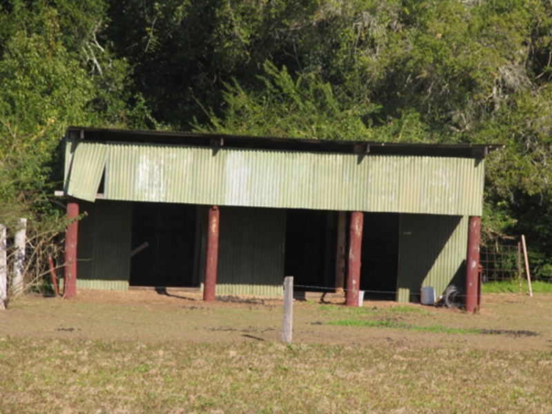 Wingham NSW 2429