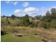 Wingham NSW 2429