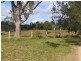 Wingham NSW 2429