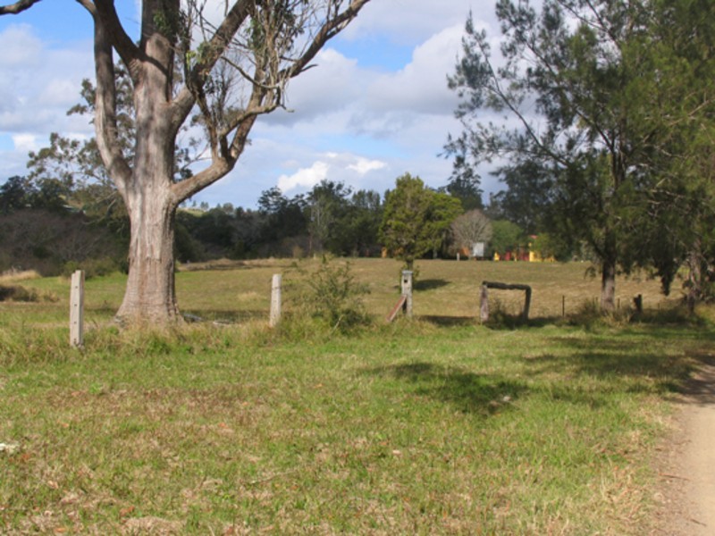 Wingham NSW 2429