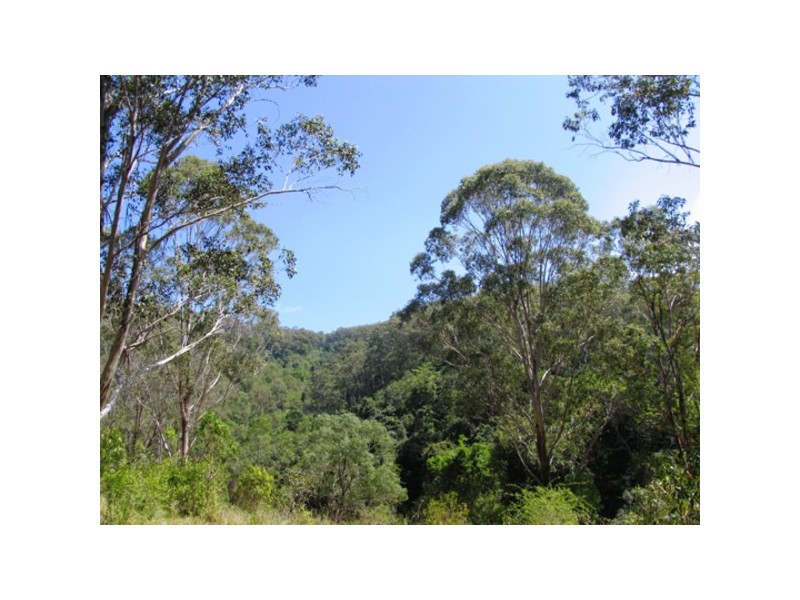 128 Bimbadeen Road, Wherrol Flat NSW 2429