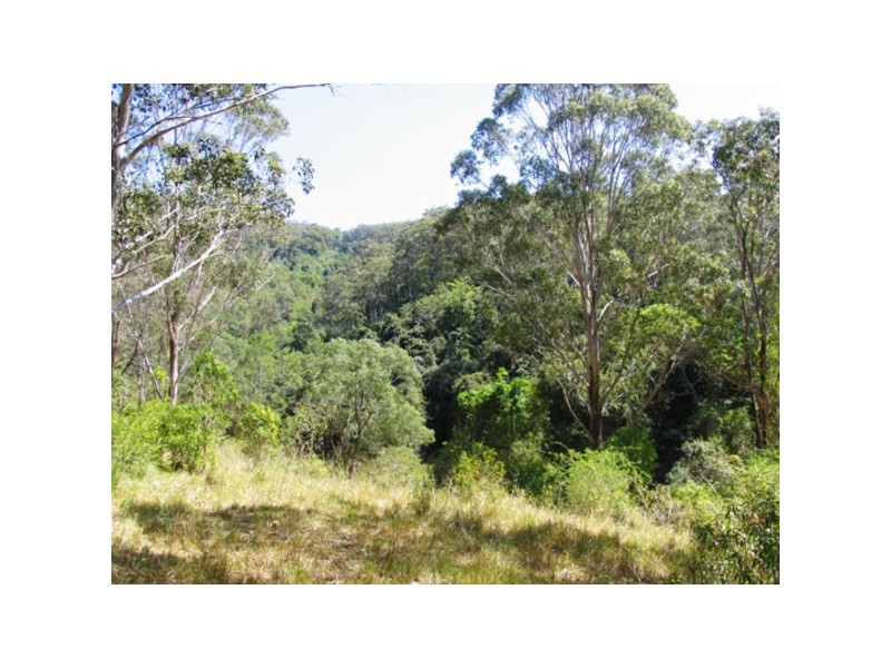 128 Bimbadeen Road, Wherrol Flat NSW 2429