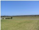 Wallabi Point NSW 2430