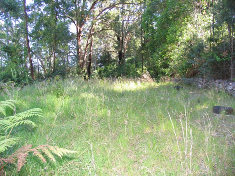 Johns River NSW 2443