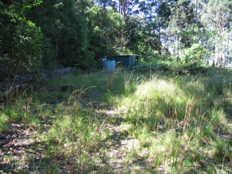 Johns River NSW 2443