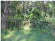 Johns River NSW 2443