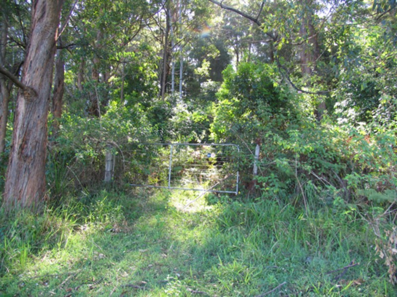 Johns River NSW 2443