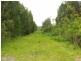 555 Follies Road, Old Bar NSW 2430
