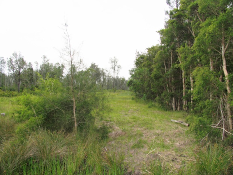 555 Follies Road, Old Bar NSW 2430