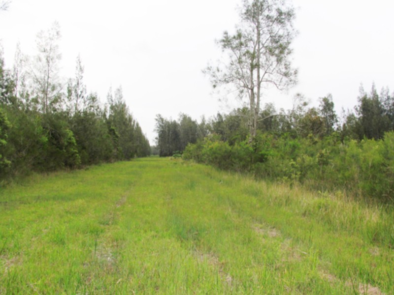 555 Follies Road, Old Bar NSW 2430