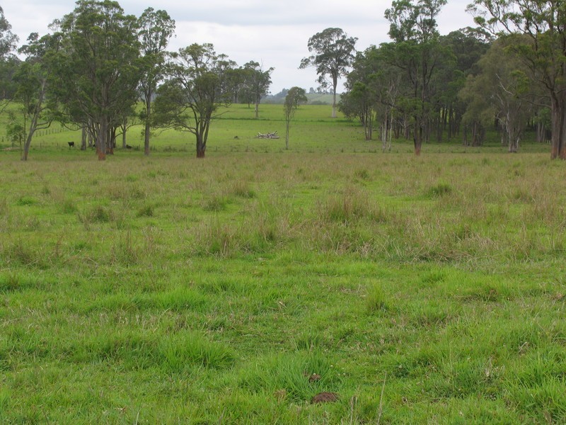 Nabiac NSW 2312