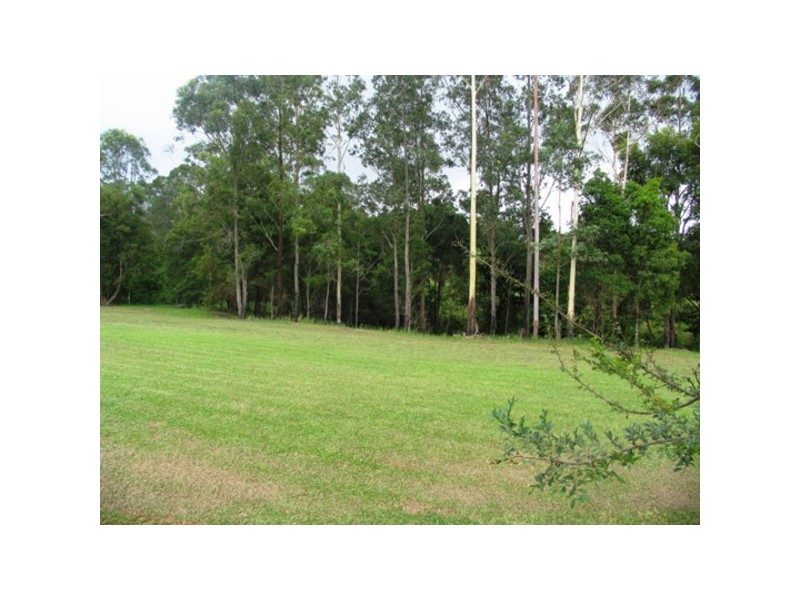 20 Betts Close, Killabakh NSW 2429