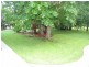 Wingham NSW 2429