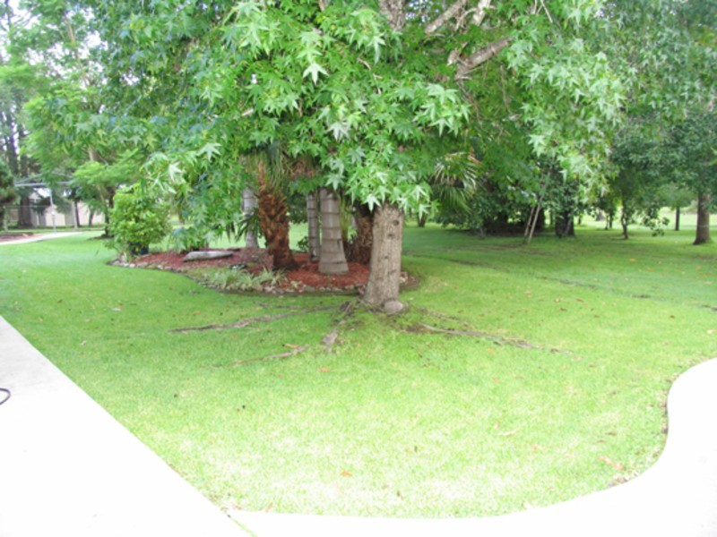 Wingham NSW 2429