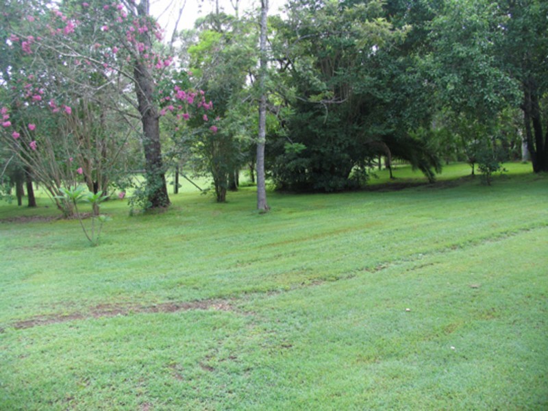 Wingham NSW 2429