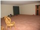 Wingham NSW 2429