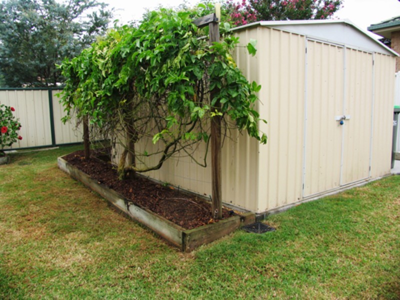 Taree NSW 2430