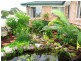 Taree NSW 2430