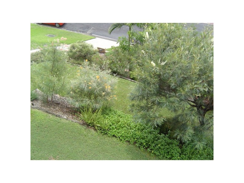 35 Talawong Drive, Taree NSW 2430
