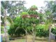 Cundletown NSW 2430