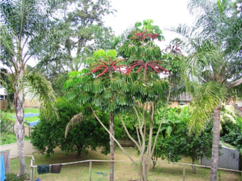 Cundletown NSW 2430