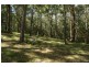 Coopernook NSW 2426